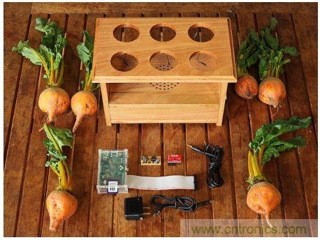 害怕圣誕節沒創意?看看發燒友們怎么過圣誕