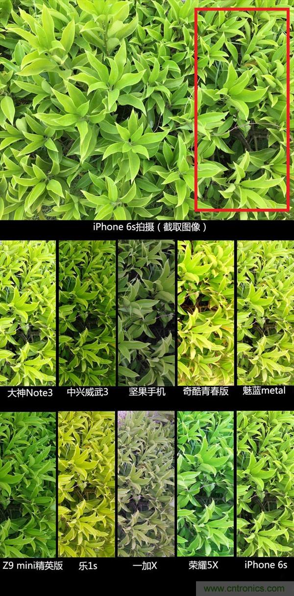 2015年9款千元智能手機橫評:誰才是紅海霸主?