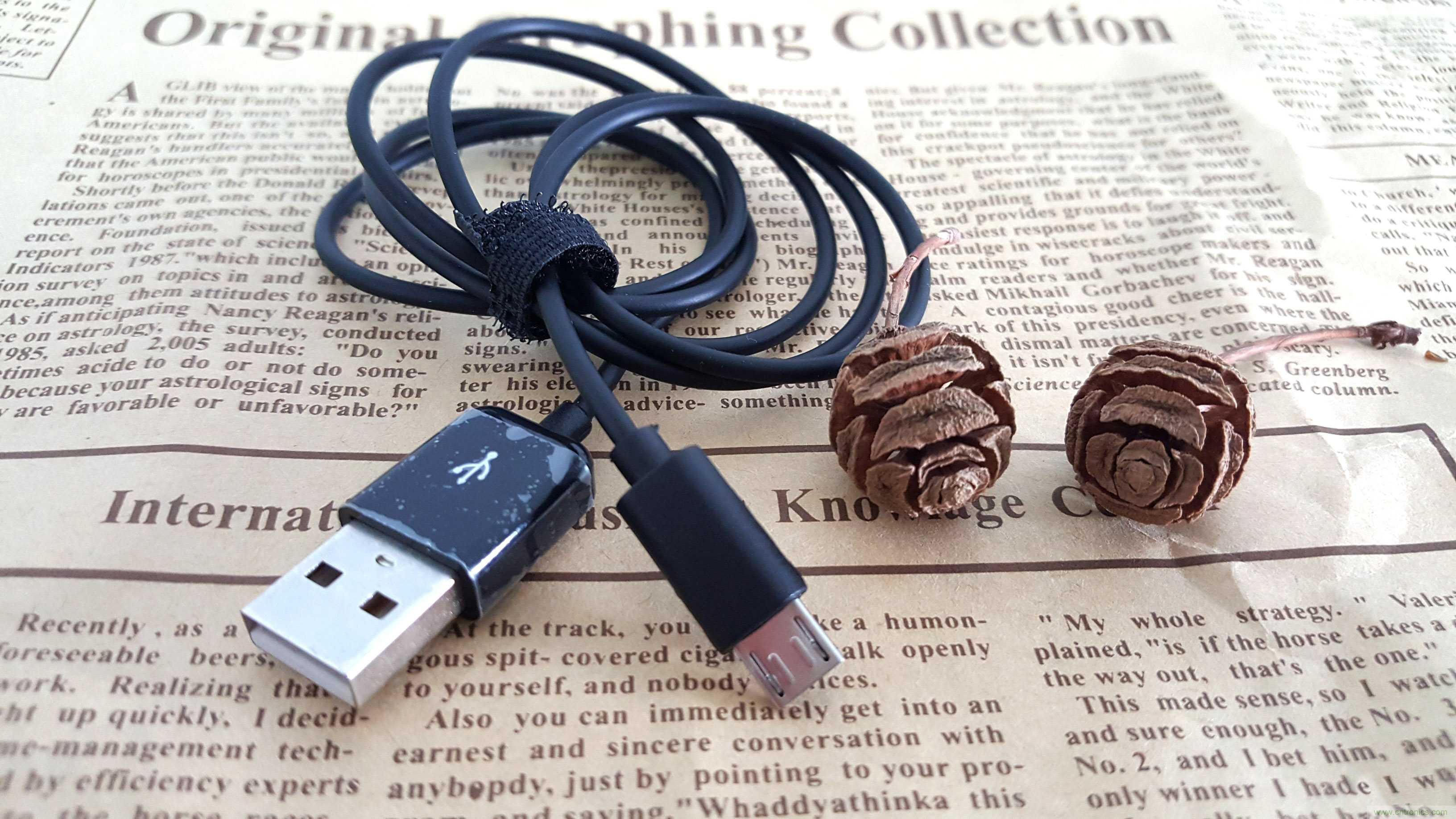 搞怪“美人魚”盡享靈克藍牙音箱的天籟之音!