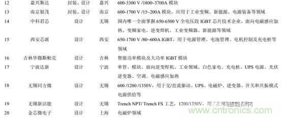 功率半導體，大漲價下的國產替代之路