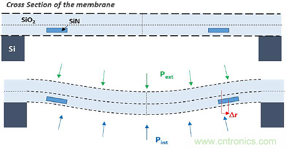 大腦神經(jīng)探針?我看用MOM壓力傳感器蠻合適