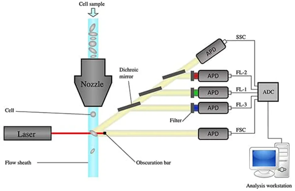 解決了！這個(gè)模塊解決了流式細(xì)胞儀設(shè)計(jì)的多個(gè)痛點(diǎn)！