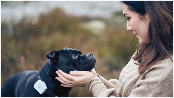 低功耗藍牙和蜂窩物聯(lián)網(wǎng)可穿戴設備幫助照看寵物