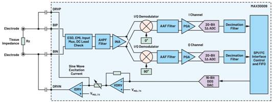 生物阻抗譜技術的進步如何推動便攜式設備創新 生物阻抗譜技術的進步如何推動便攜式設備創新