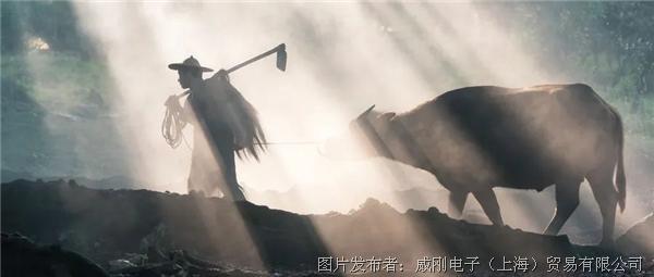 智慧農(nóng)業(yè)大有可為，“數(shù)字種地”更輕松