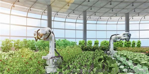 智慧農(nóng)業(yè)大有可為，“數(shù)字種地”更輕松