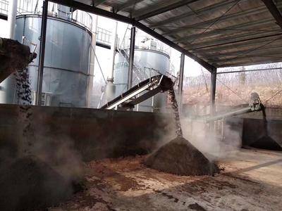 選購粉劑有機肥生產線，如何匹配產能與市場規劃？答案在這！